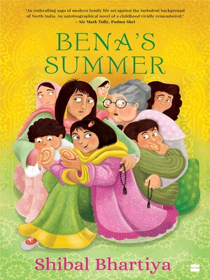 cover image of Bena's Summer